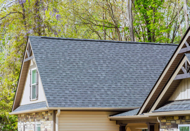 Best Skylight Installation and Repair  in Matteson, IL